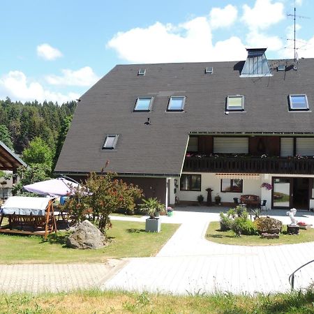 Appartement Haus Ingeborg à Dachsberg im Schwarzwald Extérieur photo