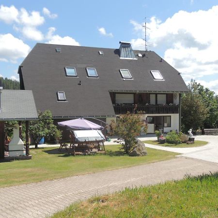 Appartement Haus Ingeborg à Dachsberg im Schwarzwald Extérieur photo