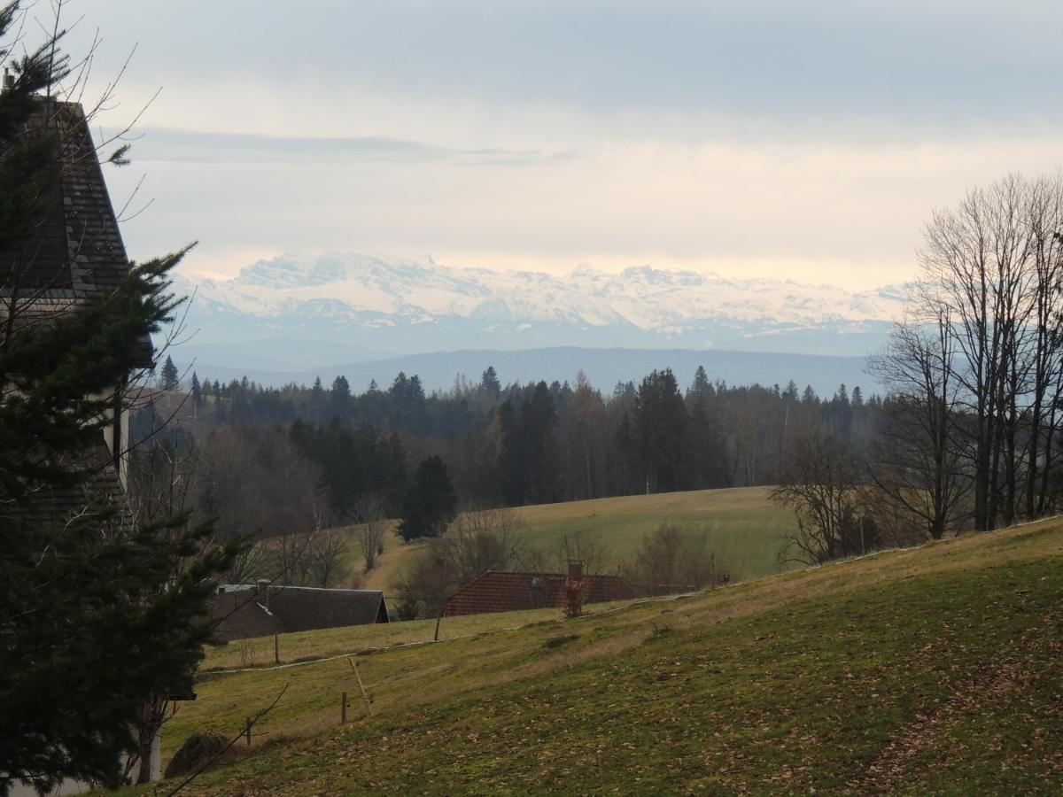 Appartement Haus Ingeborg à Dachsberg im Schwarzwald Extérieur photo