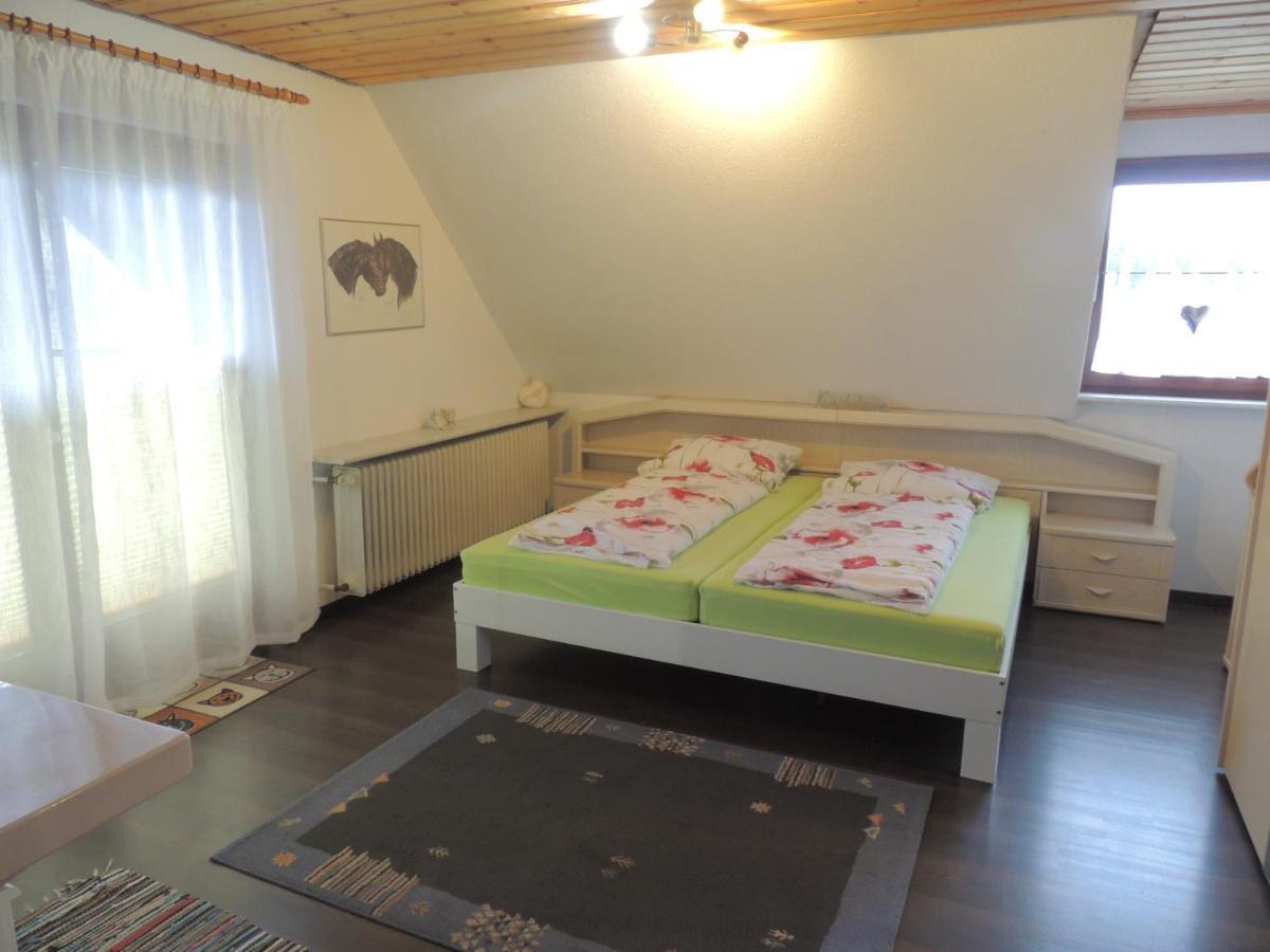 Appartement Haus Ingeborg à Dachsberg im Schwarzwald Extérieur photo