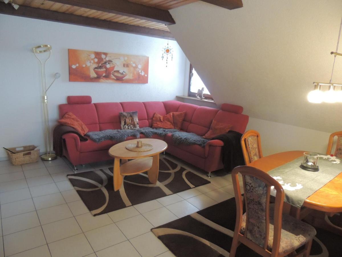 Appartement Haus Ingeborg à Dachsberg im Schwarzwald Extérieur photo