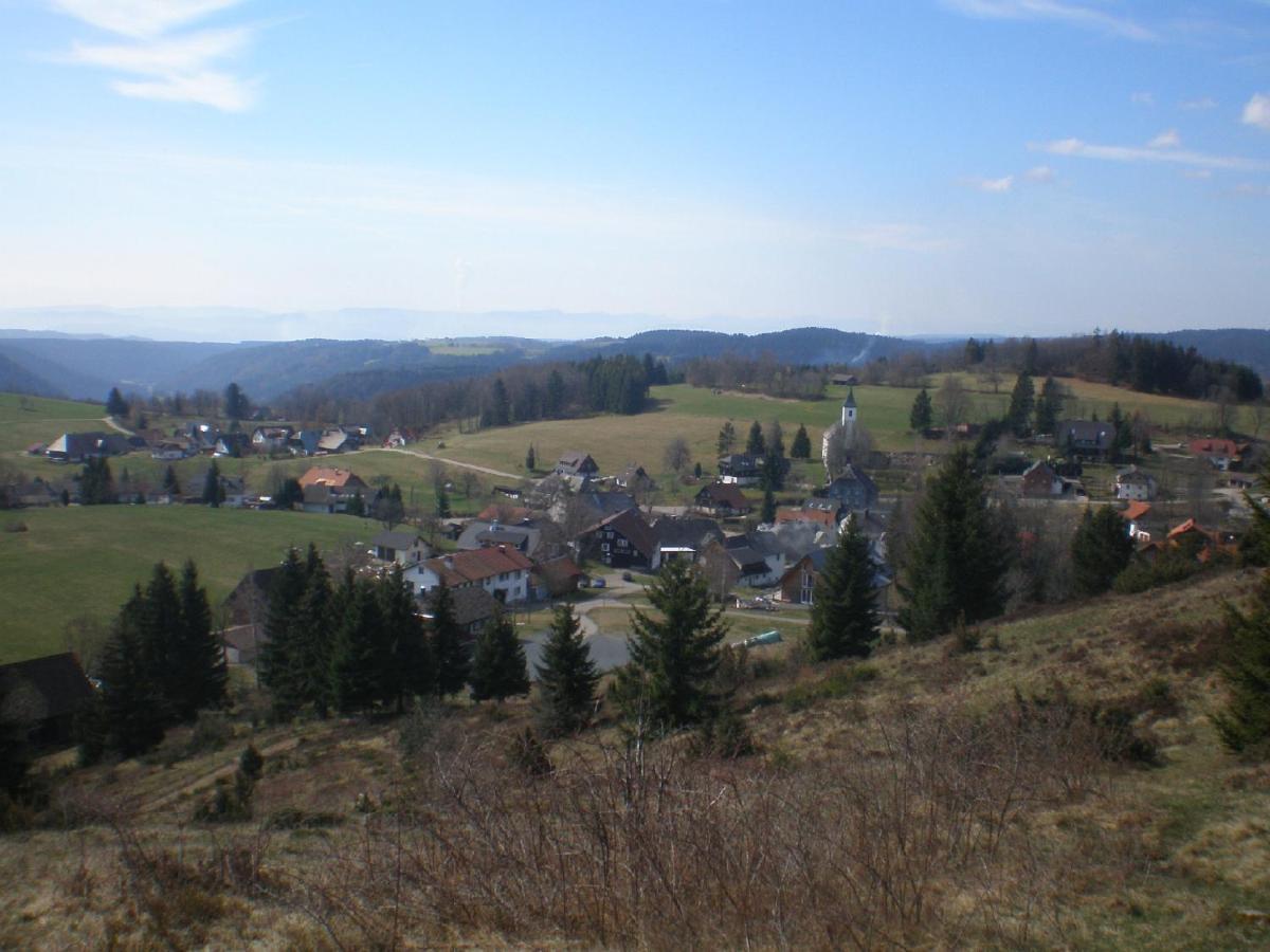 Appartement Haus Ingeborg à Dachsberg im Schwarzwald Extérieur photo