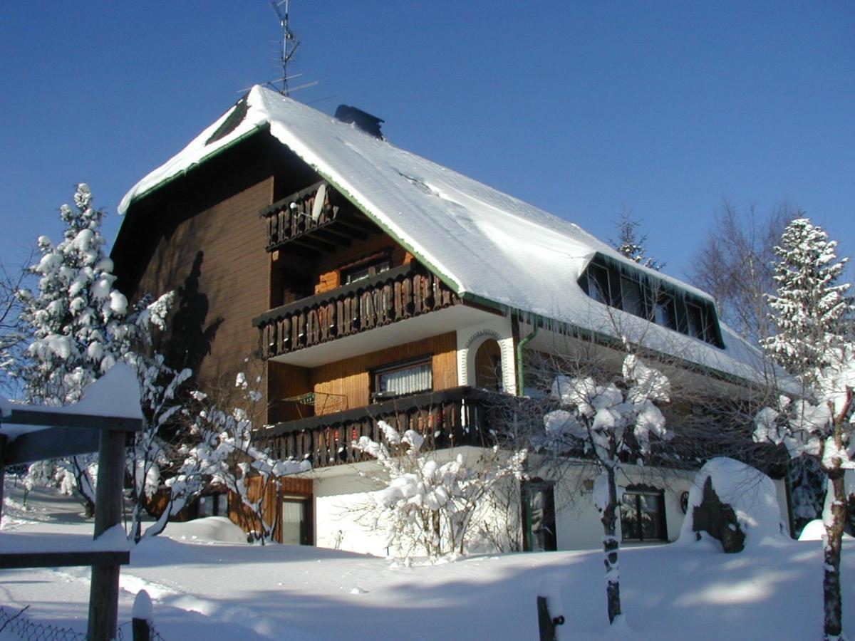 Appartement Haus Ingeborg à Dachsberg im Schwarzwald Extérieur photo
