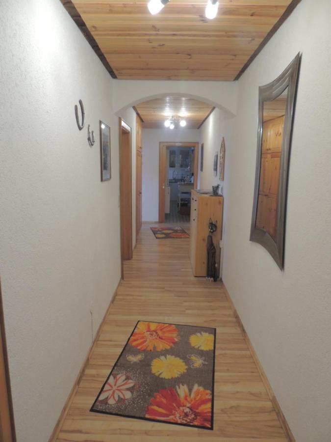 Appartement Haus Ingeborg à Dachsberg im Schwarzwald Extérieur photo