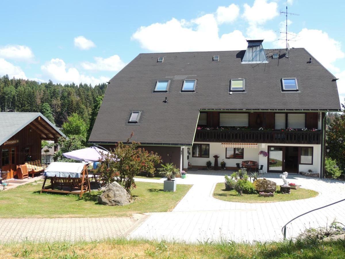 Appartement Haus Ingeborg à Dachsberg im Schwarzwald Extérieur photo