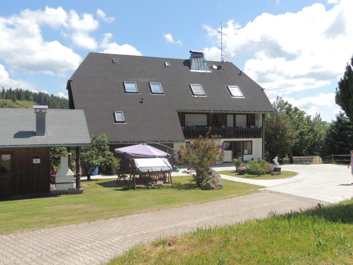 Appartement Haus Ingeborg à Dachsberg im Schwarzwald Extérieur photo