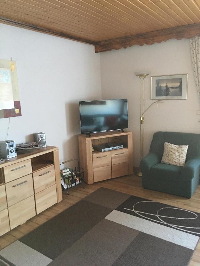 Appartement Haus Ingeborg à Dachsberg im Schwarzwald Extérieur photo