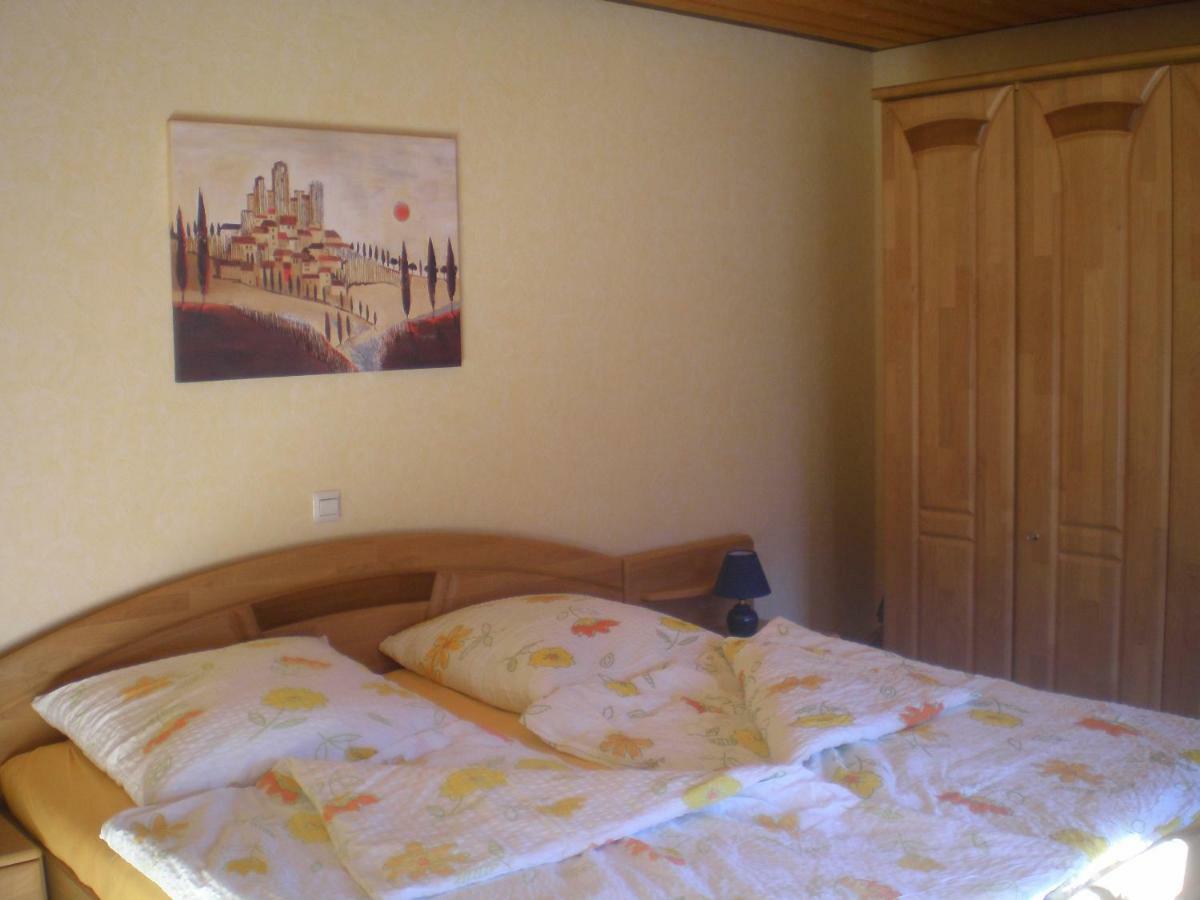 Appartement Haus Ingeborg à Dachsberg im Schwarzwald Extérieur photo