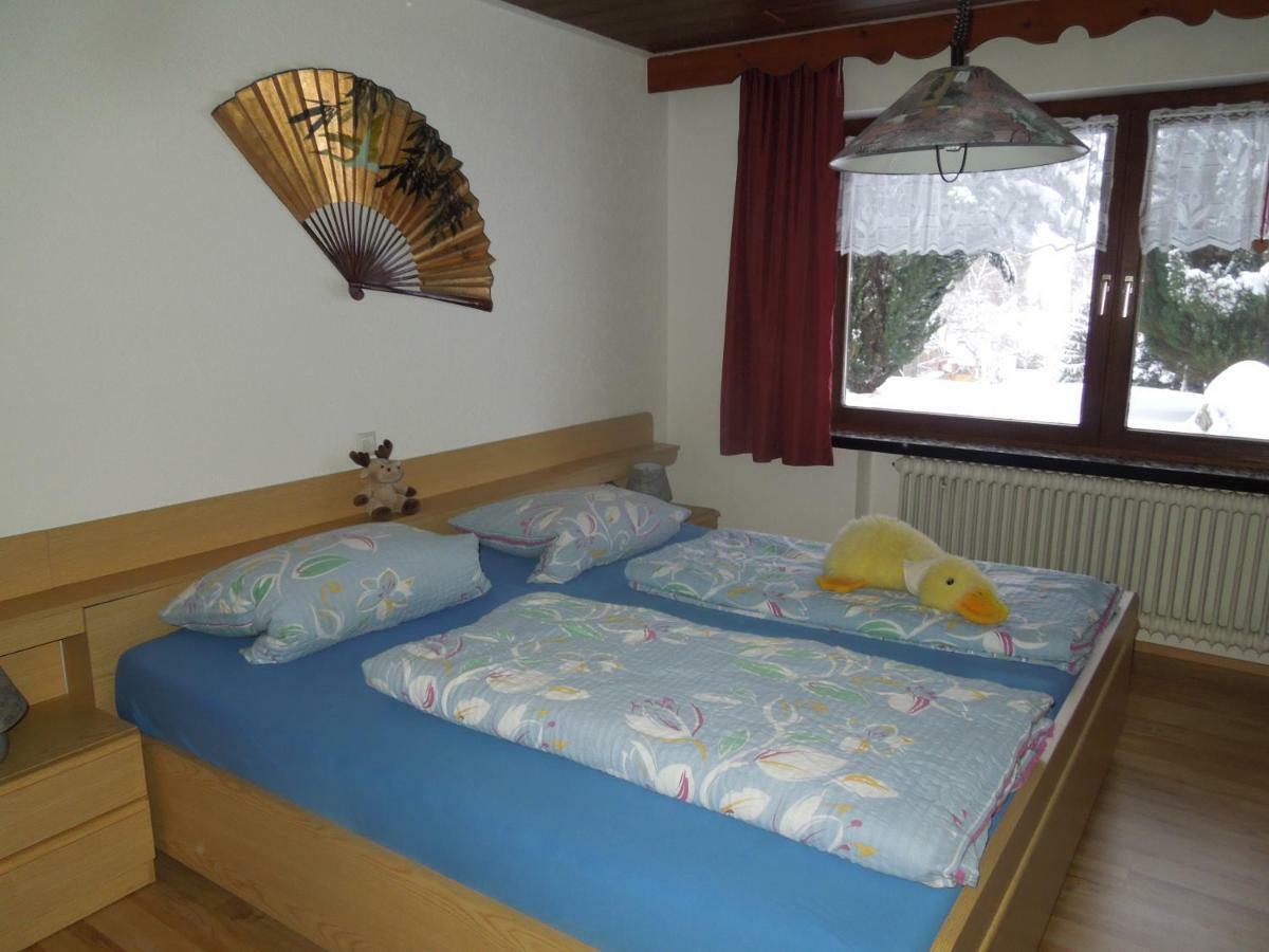 Appartement Haus Ingeborg à Dachsberg im Schwarzwald Extérieur photo