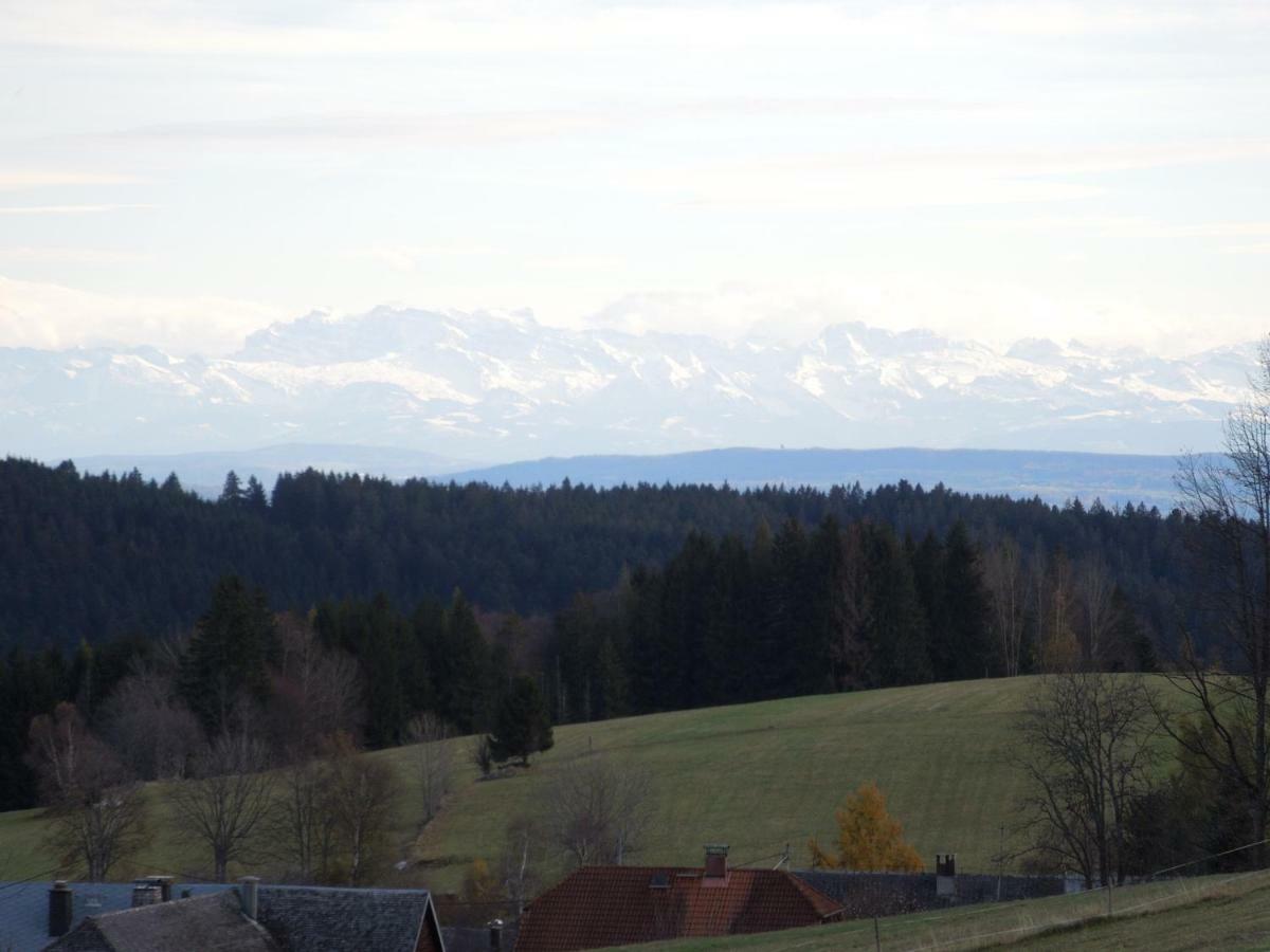 Appartement Haus Ingeborg à Dachsberg im Schwarzwald Extérieur photo
