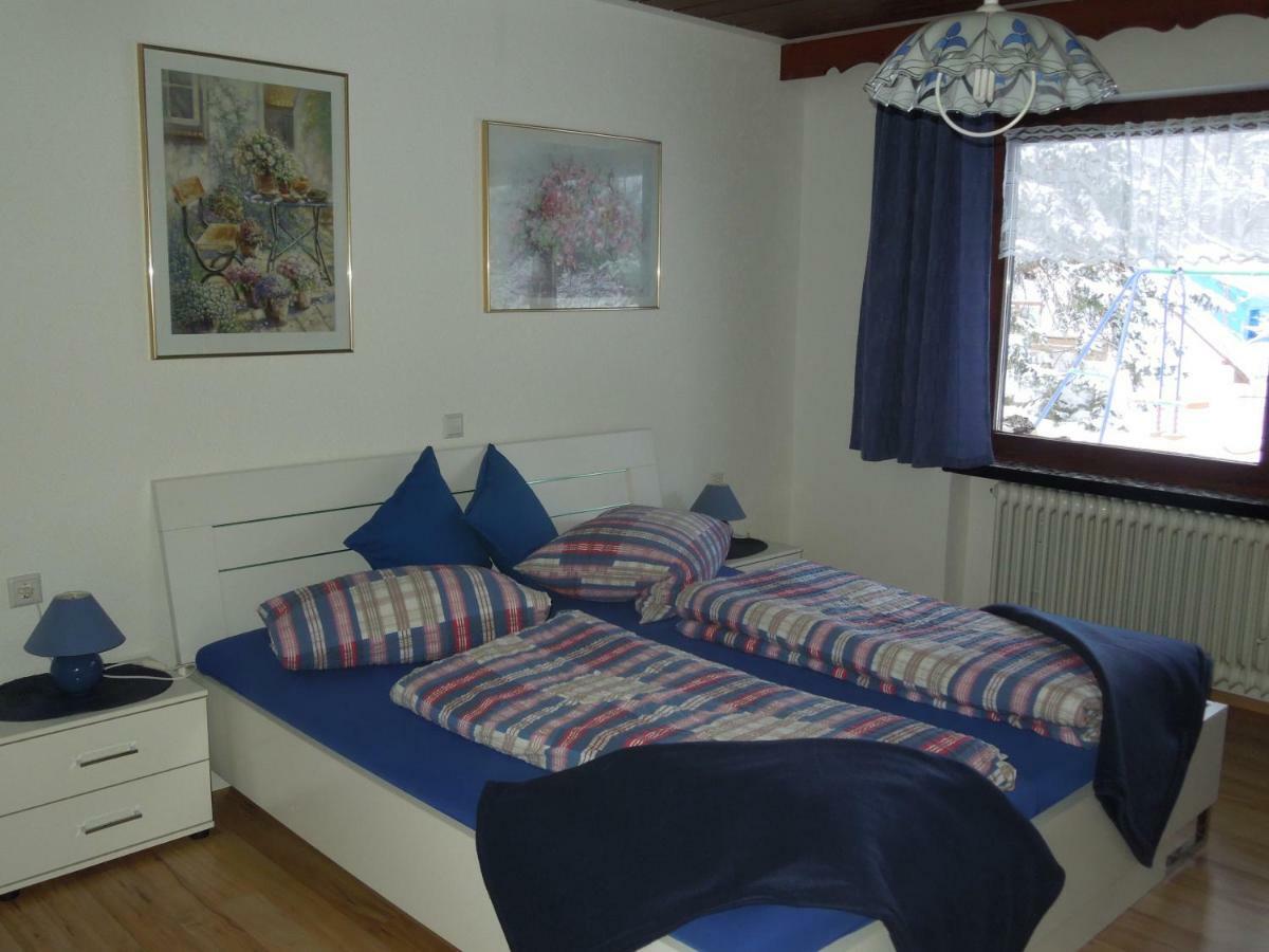Appartement Haus Ingeborg à Dachsberg im Schwarzwald Extérieur photo