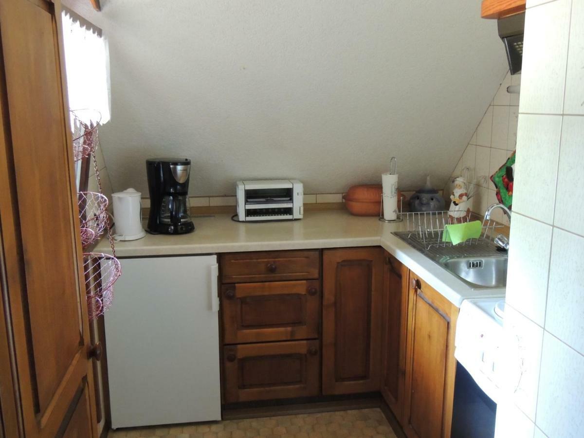 Appartement Haus Ingeborg à Dachsberg im Schwarzwald Extérieur photo